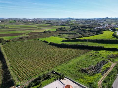 Terreno urbano - São Pedro da Cadeira