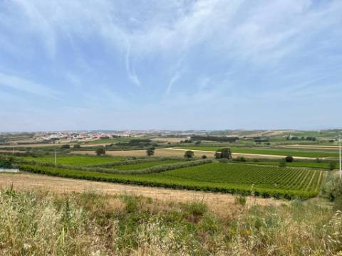 Terreno urbano - São Pedro da Cadeira
