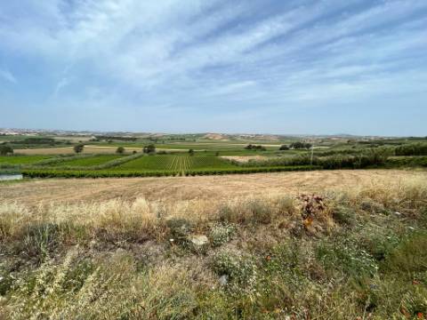 Terreno urbano - São Pedro da Cadeira