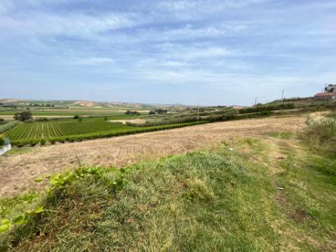 Terreno urbano - São Pedro da Cadeira