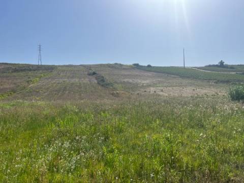 Terreno Rústico - Freiria