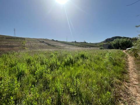 Terreno Rústico - Freiria