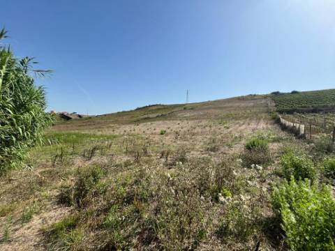 Terreno Rústico - Freiria