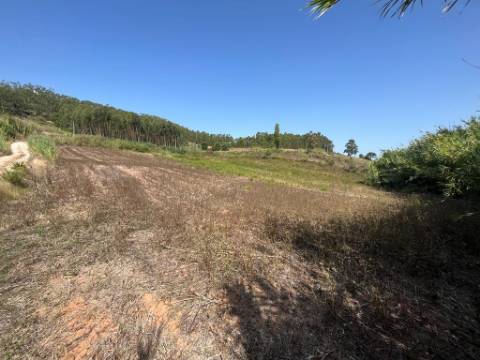 Terreno Rústico - Freiria