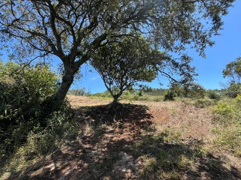 Quintinha - Maxial e Monte Redondo