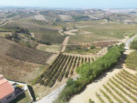 Terreno Urbano - Ventosa