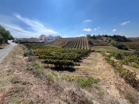 Terreno Urbano - Ventosa