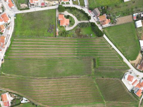 Terreno Urbano - Ventosa