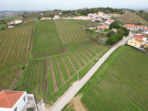 Terreno Urbano - Ventosa