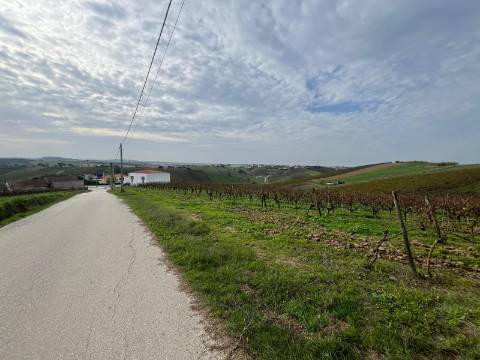 Terreno Urbano - Ventosa