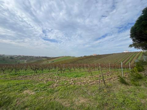 Terreno Urbano - Ventosa