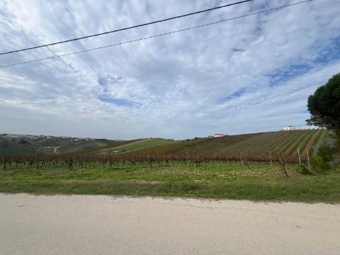 Terreno Urbano - Ventosa