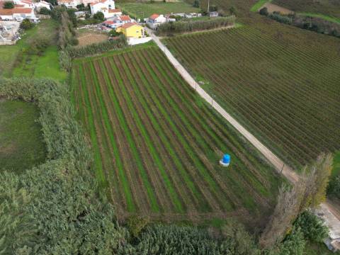 Terreno Urbano - Ventosa