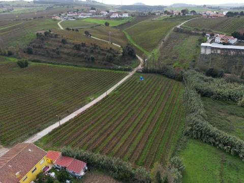 Terreno Urbano - Ventosa