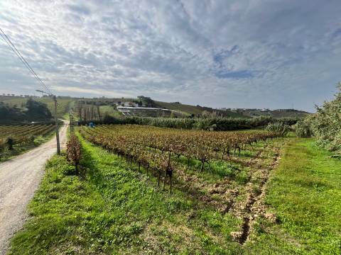 Terreno Urbano - Ventosa