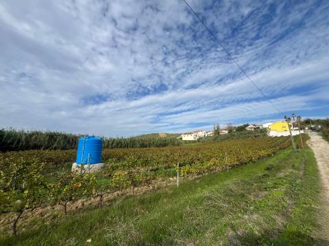 Terreno Urbano - Ventosa