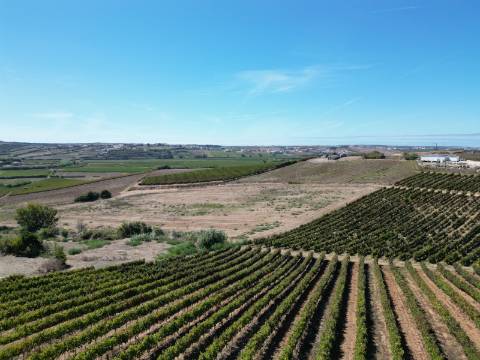 Moradia T4 NOVA - Ventosa