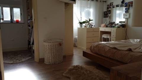 Quinta com Moradia T3