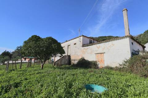 Quinta - Sobral de Monte Agraço