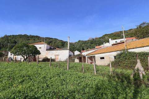 Quinta - Sobral de Monte Agraço