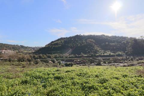 Quinta - Sobral de Monte Agraço
