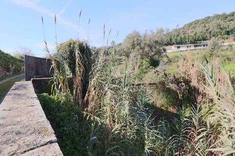 Quinta - Sobral de Monte Agraço