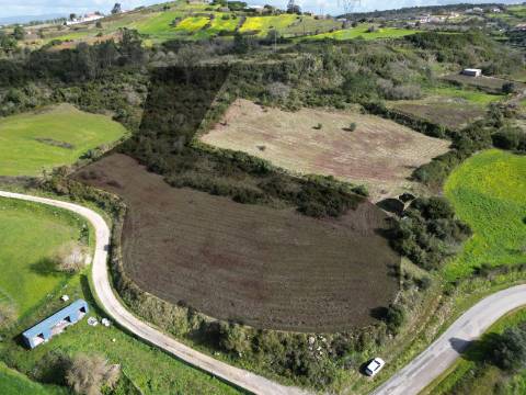Terreno Rústico de 9.000m² - Sobral de Monte Agraço