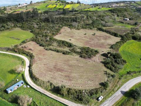 Terreno Rústico de 9.000m² - Sobral de Monte Agraço