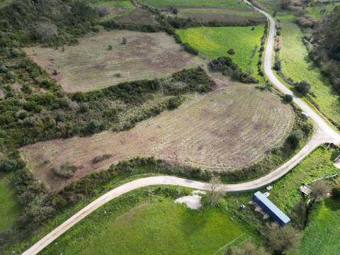 Terreno Rústico de 9.000m² - Sobral de Monte Agraço