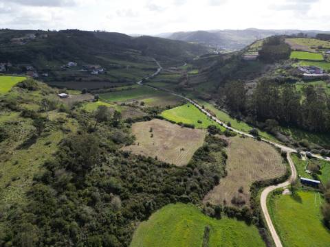 Terreno Rústico de 9.000m² - Sobral de Monte Agraço