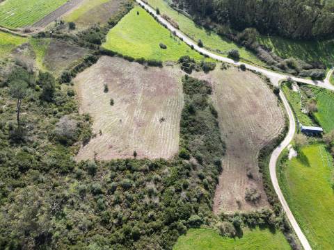 Terreno Rústico de 9.000m² - Sobral de Monte Agraço