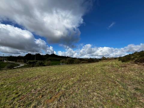 Terreno Rústico de 9.000m² - Sobral de Monte Agraço