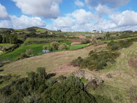 Terreno Rústico de 9.000m² - Sobral de Monte Agraço