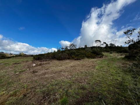 Terreno Rústico de 9.000m² - Sobral de Monte Agraço