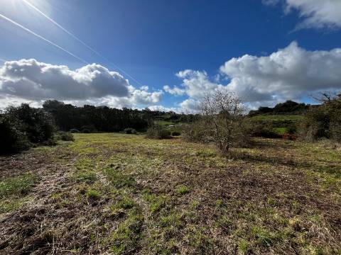 Terreno Rústico de 9.000m² - Sobral de Monte Agraço