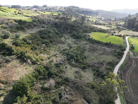 Terreno Rústico de 6.840m² - Sobral de Monte Agraço