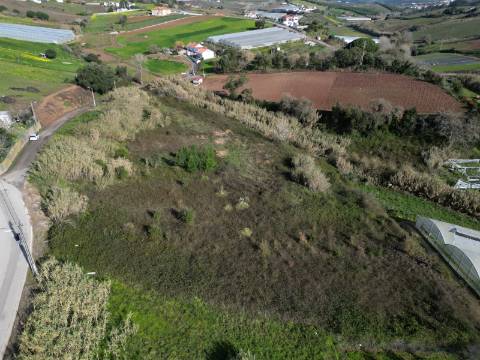 Terreno Rústico na Azueira com 9375m2