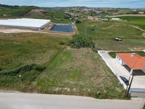Lote - Ventosa