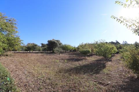 Moradia T4+1 - Carnota