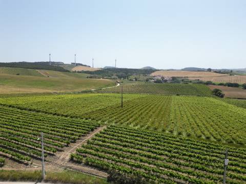 2 Moradias - Ventosa