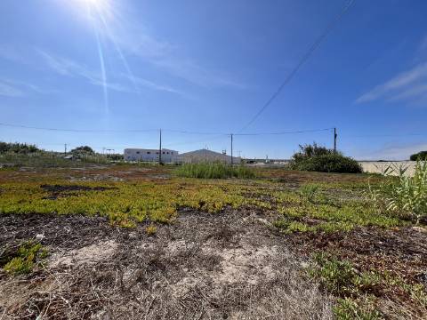 Terreno Urbano - Santa Cruz