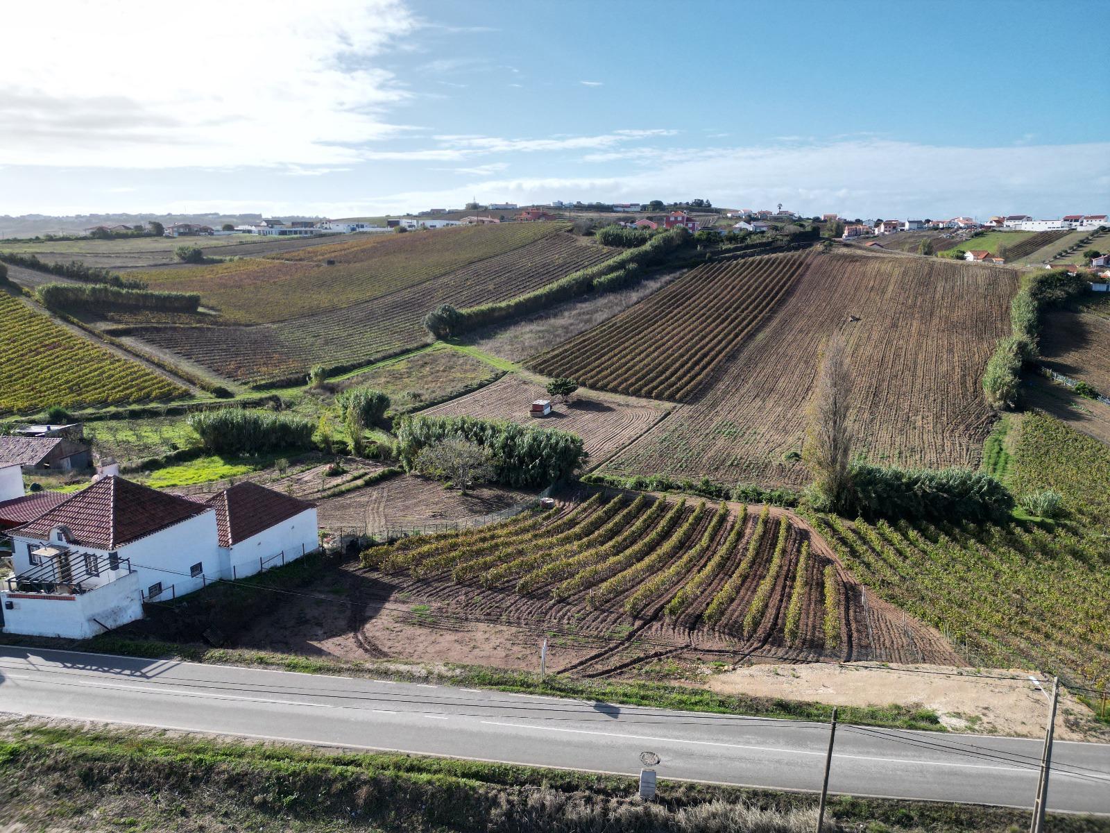 Terreno Urbano - Ventosa