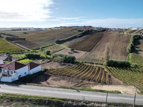 Terreno Urbano - Ventosa