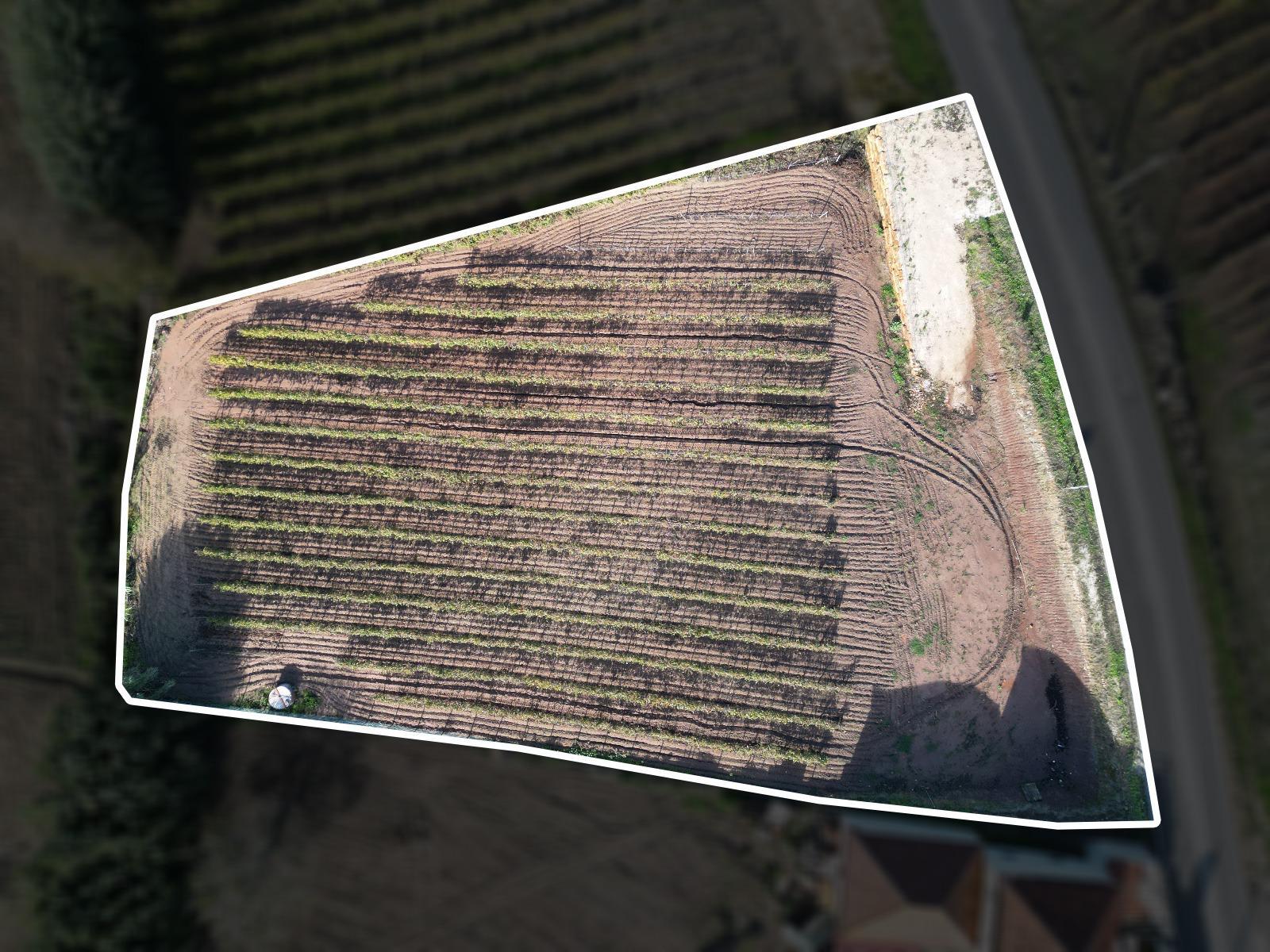 Terreno Urbano - Ventosa