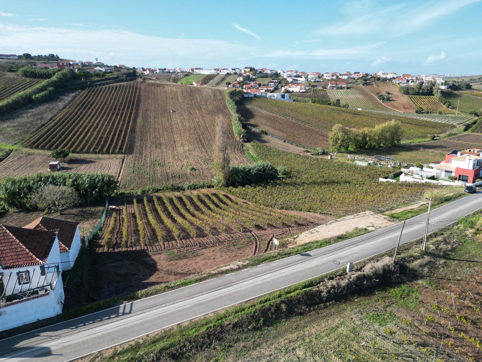 Terreno Urbano - Ventosa