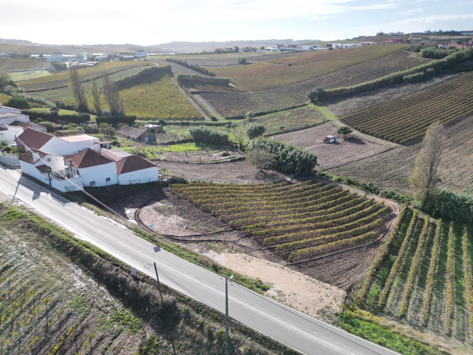 Terreno Urbano - Ventosa