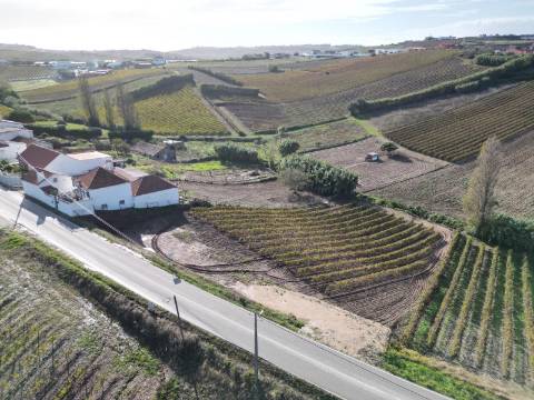 Terreno Urbano - Ventosa