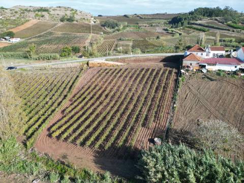 Terreno Urbano - Ventosa