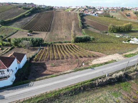 Terreno Urbano - Ventosa