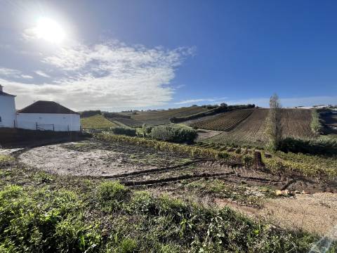 Terreno Urbano - Ventosa